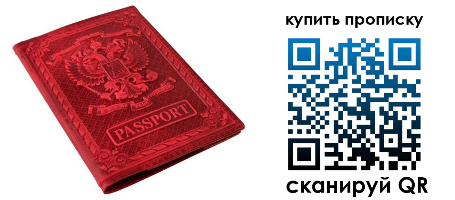 прописка в Могочи